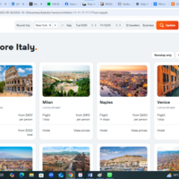Travel cordination task, researching flights and bookings