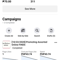 My first facebook campaign