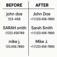 Data Cleaning & Standardization Specialist