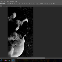 Portfolio Thumbnail 2
