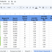 S Volume Keywords