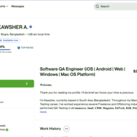 Professional QA Profile
