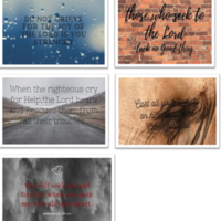 social media manage ment