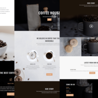 Wordpress Full Website Creation