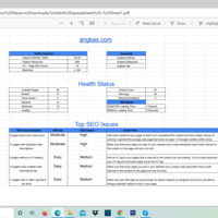 SEO Audit2
