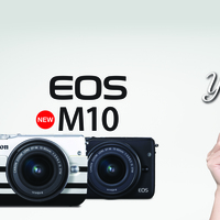 Header designed measuring 8.2f x .2.8f