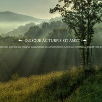 Portfolio Thumbnail 1