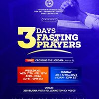 Portfolio Thumbnail 7