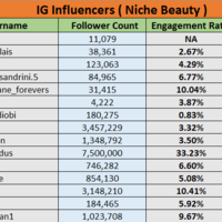 IG Influencer Research