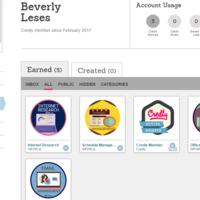 Badges Earned in VA Bootcamp
