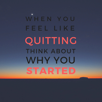 Portfolio Thumbnail 26