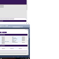 View of my E-Dossier Web Application 