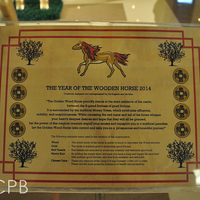 Portfolio Thumbnail 0