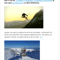 Newsletter content and set-up