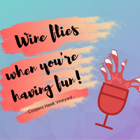 Quote created in Canva
