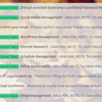 Email Management Skill