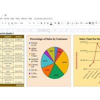Sales Report in Excel Charts