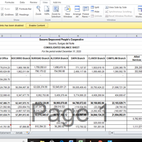 FINANCIAL REPORT
