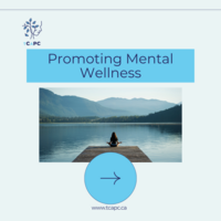 Portfolio Thumbnail 7