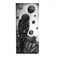 Portfolio Thumbnail 5