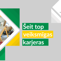 Portfolio Thumbnail 13