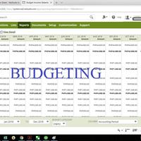 Netsuite Budgeting