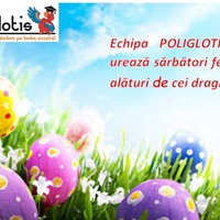 Portfolio Thumbnail 3