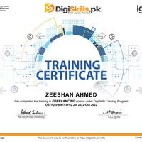 Virtual Assistant Cerificate