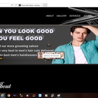 Glimpse of my live website www.princehairsaloon.com