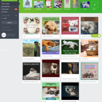 Graphic Design - Canva