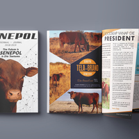 Magazines, Annual Reports & Journals