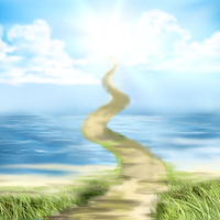 Portfolio Thumbnail 6