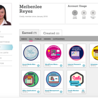 Credly Learning Badges
