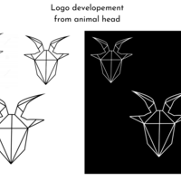 Branding Design
