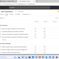 Asana- Project Manager 