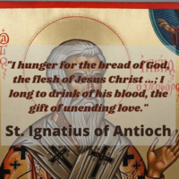 Portfolio Thumbnail 8