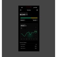 Summary page for a Fintech solution 