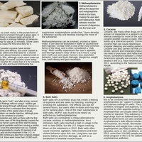 Trifold brochure (inside page)