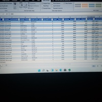 Data Entry on spreadsheet 