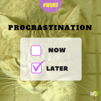 Made via Canva