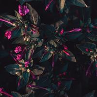 Portfolio Thumbnail 9