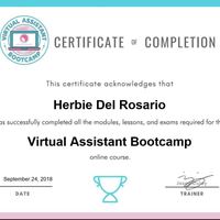 VA Bootcamp Certificate