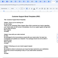 Customer Issue Resolution  Microsoft Word Example