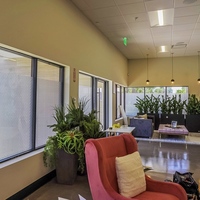 More Vinyl Print Window Design