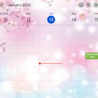 Portfolio Thumbnail 3