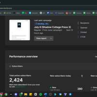 I use Mailerlite to automate email campaigns