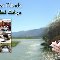 FB Banner - 1