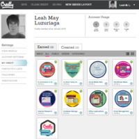Credly Merits and Badges