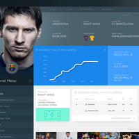 Player Profile Screen UI