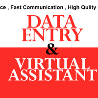 Data Entry & Virtual Assisteat 